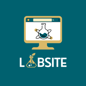 LOGO LABSITE SQUARE